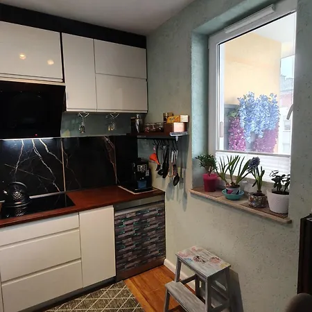 Apartman Wspolczesny Gdansk Borkowo